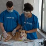 The Benefits of Pre-need Plans for Your Pet