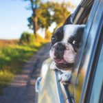 Cracks in Automotive Windshields of Various Types