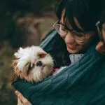 Chiropractic Adjustments: Myths and Stories