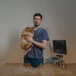 What Happens During a Pet Dental Exam?