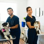 How Can Functional Medicine Personalize Autoimmune Disease Management?